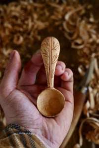 Image 2 of . Coffee Scoop .