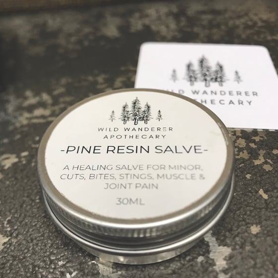 Image of Pine Resin Salve Wild Wanderer Apothecary 