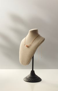 Image 1 of Collar Spiral