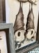 Image of "love Bats" Shadow Box