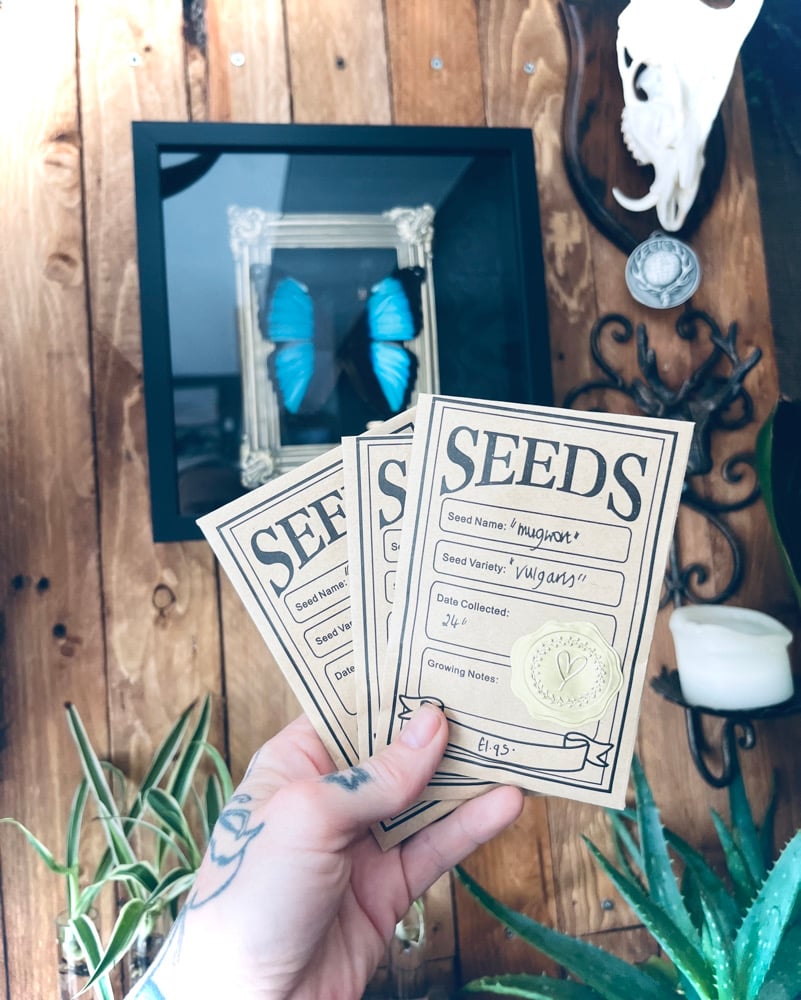 Image of Organic Artemisia Vulgaris Seeds (Mugwort) 