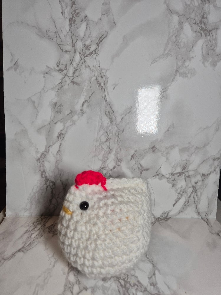 Image of Steve Chicken