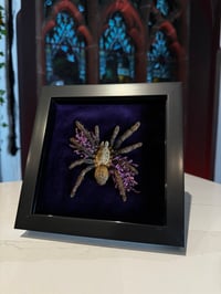 Image 1 of Purle Floral Tarantula
