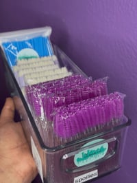 lash essentials 