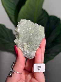Image 5 of CHOOSE YOUR OWN SMALL PREHNITE CLUSTER -INDIA-