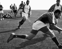 Image 5 of Daniel D’Ottavio - Rugby (Signed & Numbered)