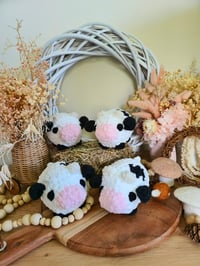 Chonky cows