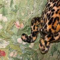 Image 4 of 🐾✨Marian✨🐾- The Big Leopard Bag