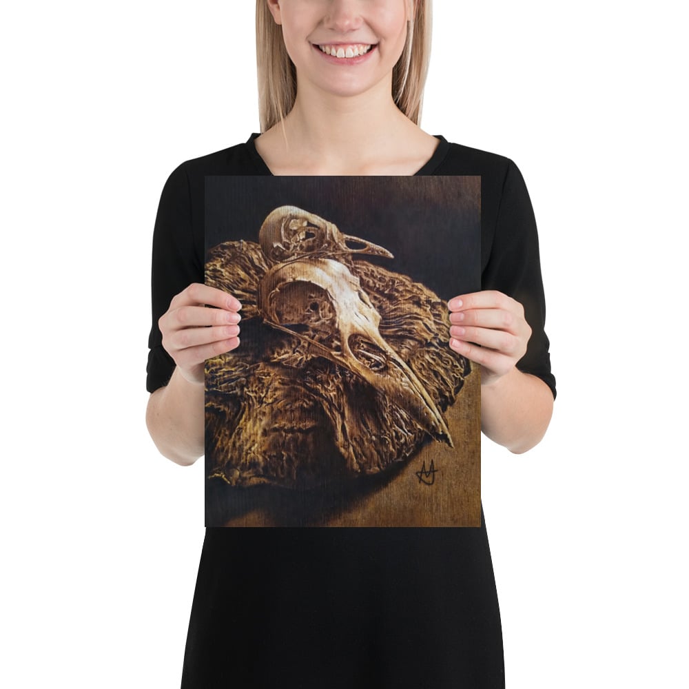 Photo Print: Bird Skulls