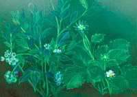 Image 1 of 🍓“Companions”- Original Botanical Drawing