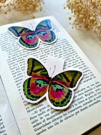 Image 2 of Magnetic Insect Bookmarks 