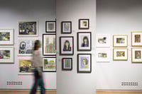 Image 4 of The Secret