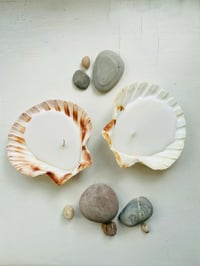 Scallop Shell (Large) Candle
