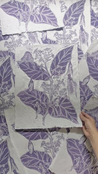 Image 5 of Metamorphosis