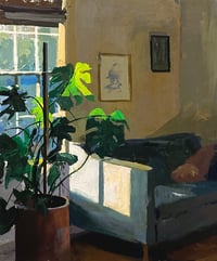 Monsterra in Morning light