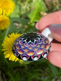 Image 3 of amber purple party