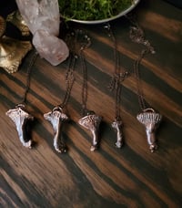 Image 1 of Real Chanterelle Mushroom Necklace
