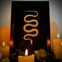 Image 1 of Udon Noodle - Snake Skeleton 
