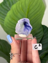Image 3 of BLUE HALITES -TURKEY- LOT 2