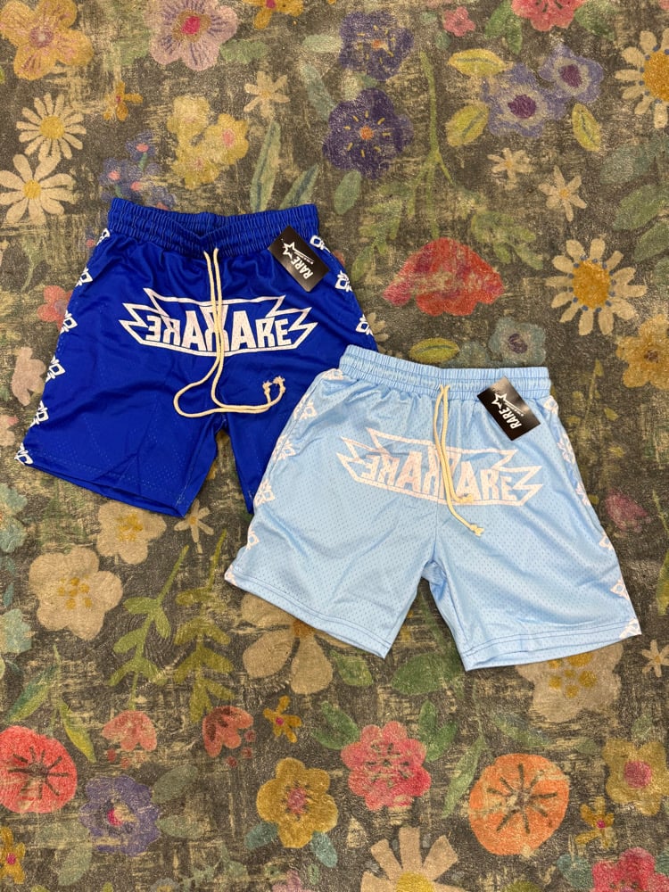 RAREEE MESH SHORTS (UNC BLUE)