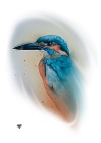 Kingfisher (A4 print)