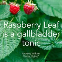 Image 4 of Organic Red Raspberry Leaf Herbal Extract
