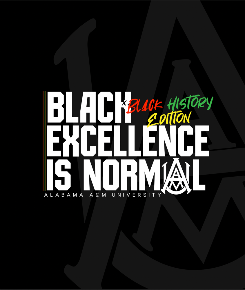 Image of Black Excellence is NORMAL - BLACK