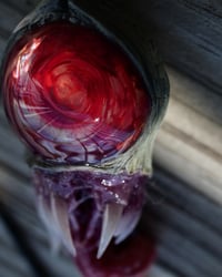 Image 7 of Twisted tongue pendant, Red Eye, ooak