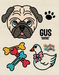 Image 1 of PET PORTRAIT FLASH SHEET