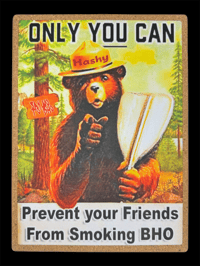 Hashy The Bear