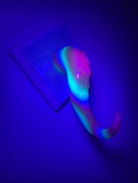 Image 5 of Rainbow UV Reactive tentacle on white square base