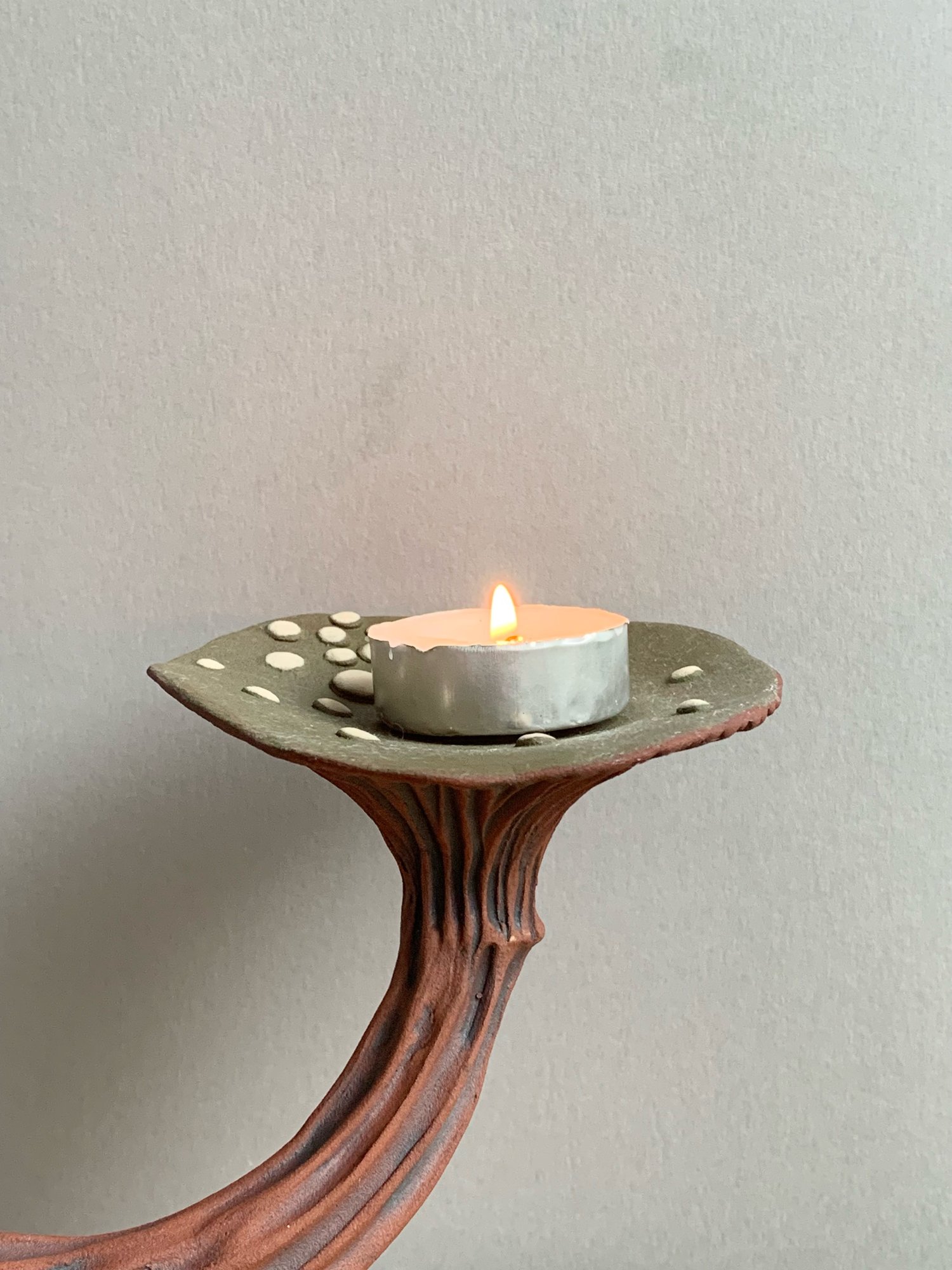 Image of Olive Wall Mushroom 