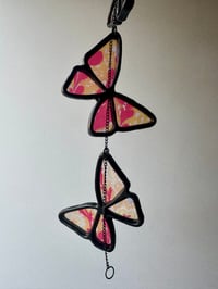 Image 3 of Butterflies V13
