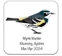 Image 3 of Myrtle Warbler - No.141 - UK Birding Pins