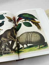 Image 4 of Seba. Cabinet of Natural Curiosities. 45th Ed.