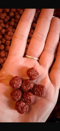 Image 4 of Blood orange wafters 