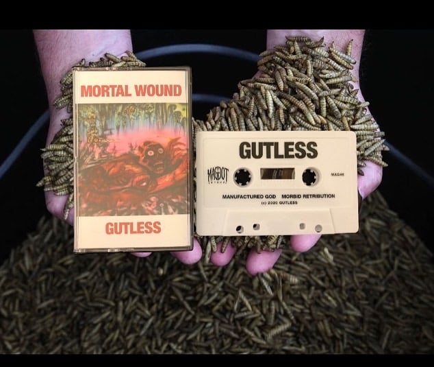 Image of Gutless/Mortal Wound split 