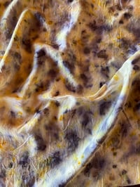 Image 1 of Silk Scarf 003
