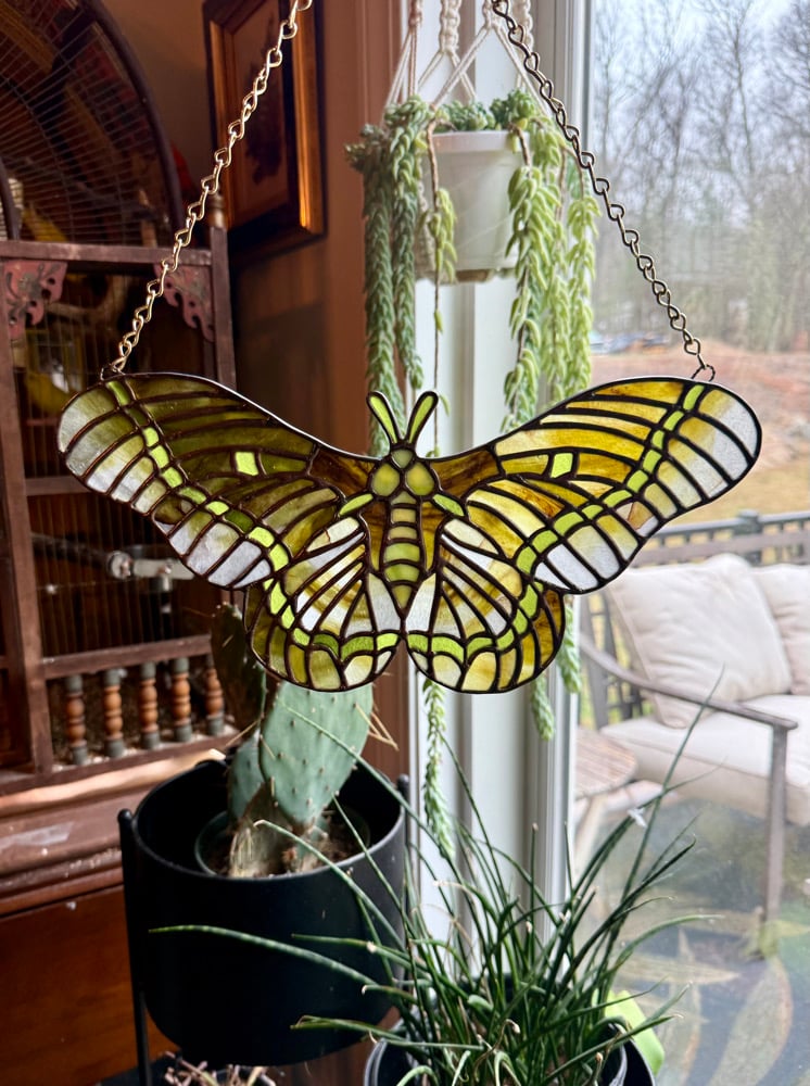 Green Moth - Tiffany Lamp Screen Inspired