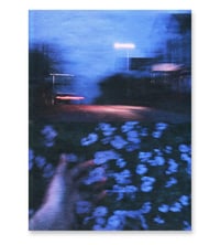 Image 1 of BLUE NIGHT, FLOWERS