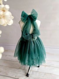 Image 4 of Betty tulle dress size 2-4 years | photo props