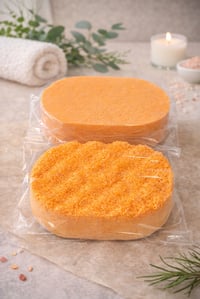 Image 1 of Soap Sponges Large