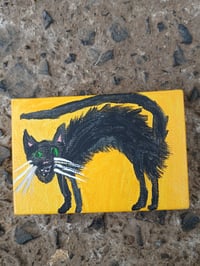 Image 7 of Scaredy Cat