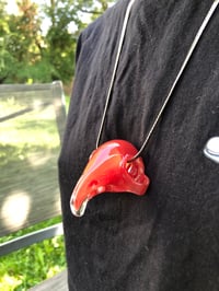 Image 5 of Bird Skull In Cherry