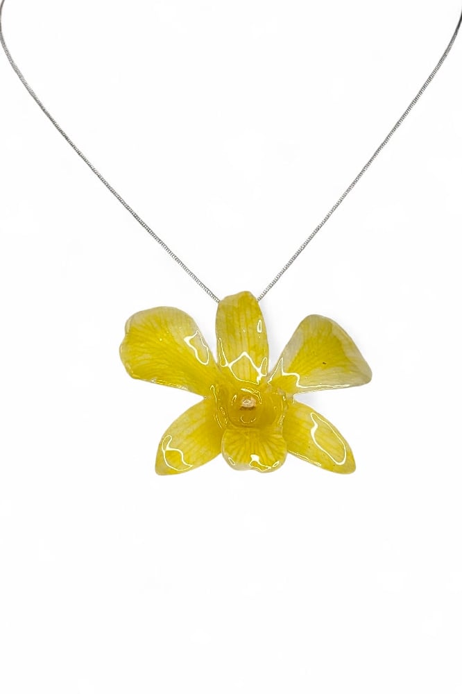 Image of Dendrobium Orchid Pendants (Autumn Update)