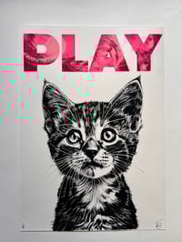 Image 2 of PLAYFUL Kittens