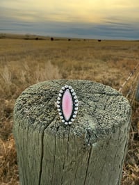 Image 1 of The Pink Spur
