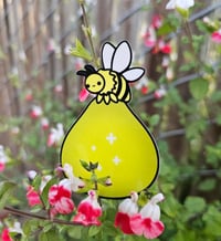 Vigorwasp!