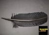 Genuine Feng Shui Natual Black Smudging Feather