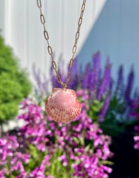 Scallop Shell Necklace N176